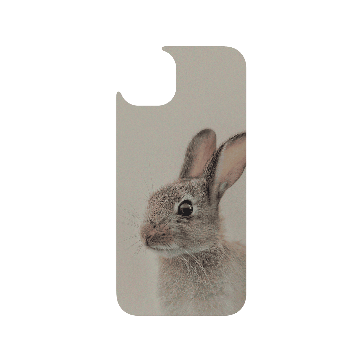 RHINOSHIELD X Alexis Rateau JellyTint (MagSafe compatible) iPhone 15 Plus - European rabbit