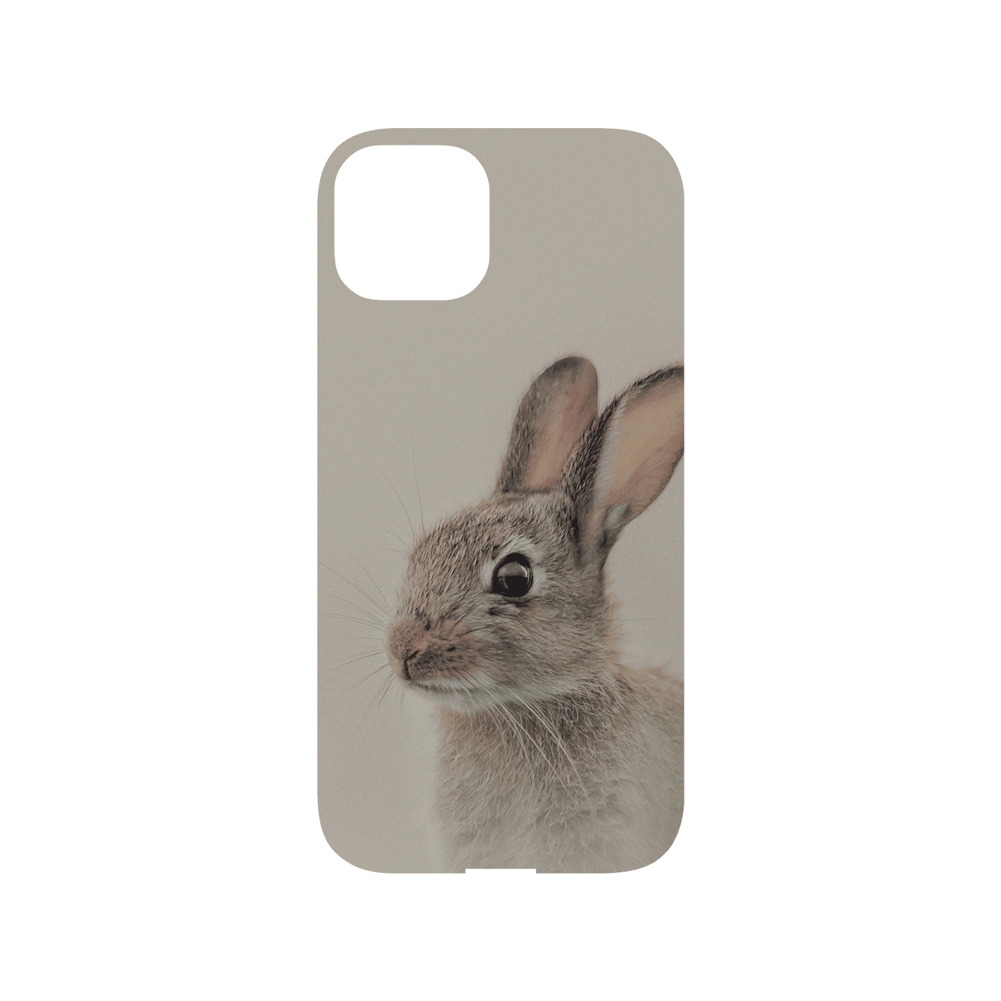RHINOSHIELD X Alexis Rateau Mod NX iPhone 13 Case - European rabbit Backplate