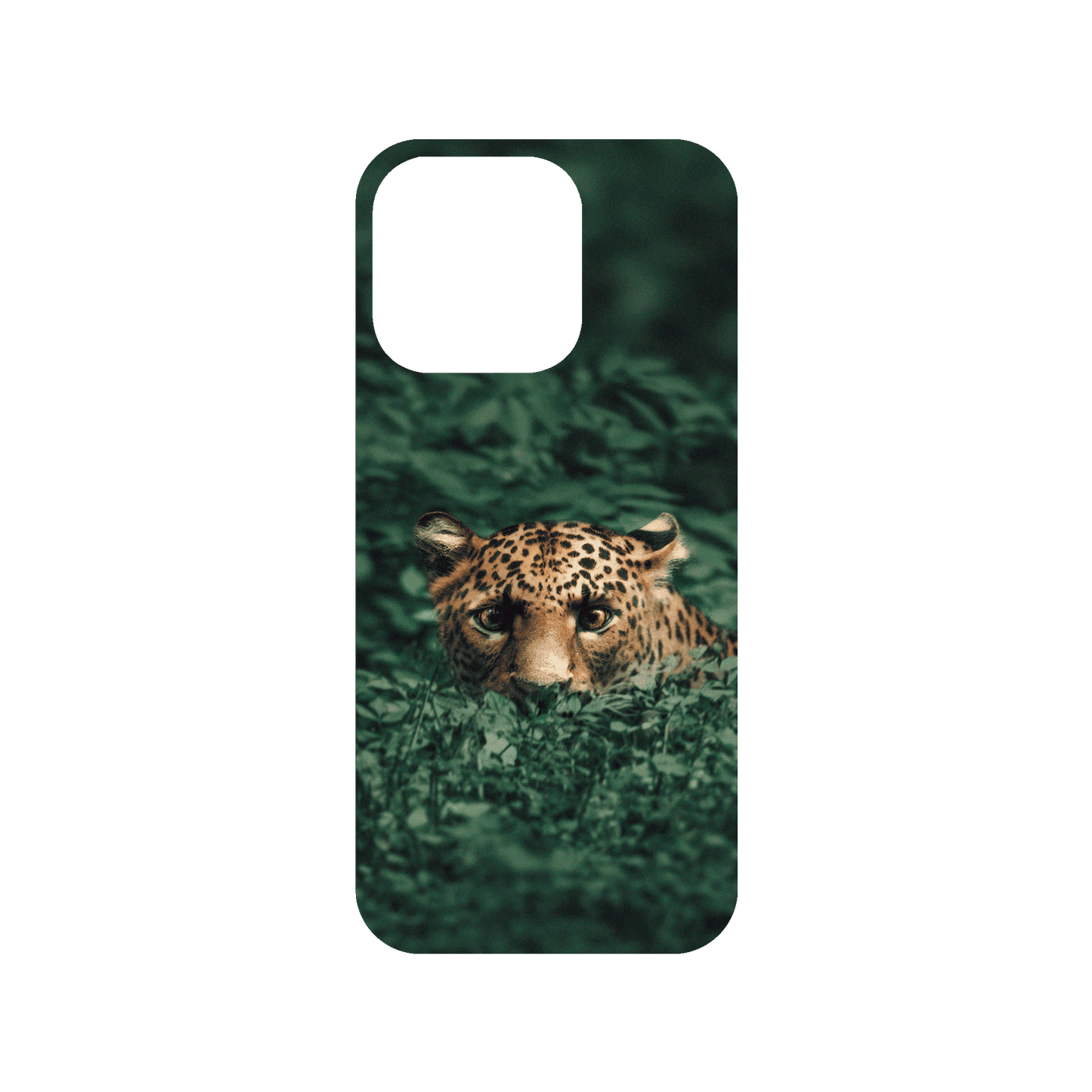 RHINOSHIELD X Alexis Rateau Mod NX iPhone 15 Pro Case - Leopard in the Jungle Backplate