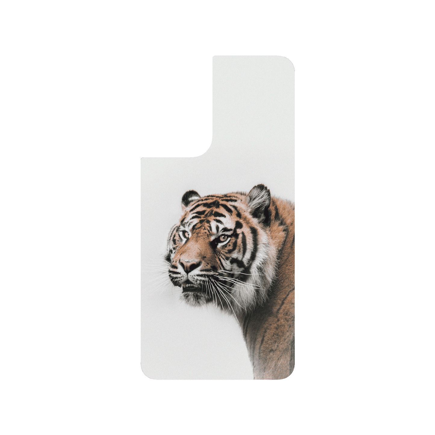RHINOSHIELD X Alexis Rateau SolidSuit Samsung Galaxy S21+ Case - Tiger