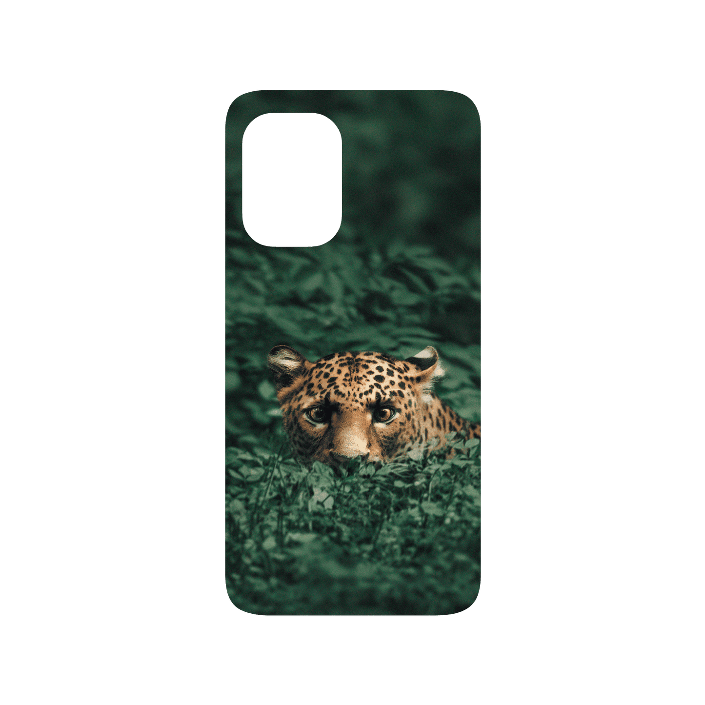 RHINOSHIELD X Alexis Rateau SolidSuit ASUS Zenfone 8 Case - Leopard in the Jungle