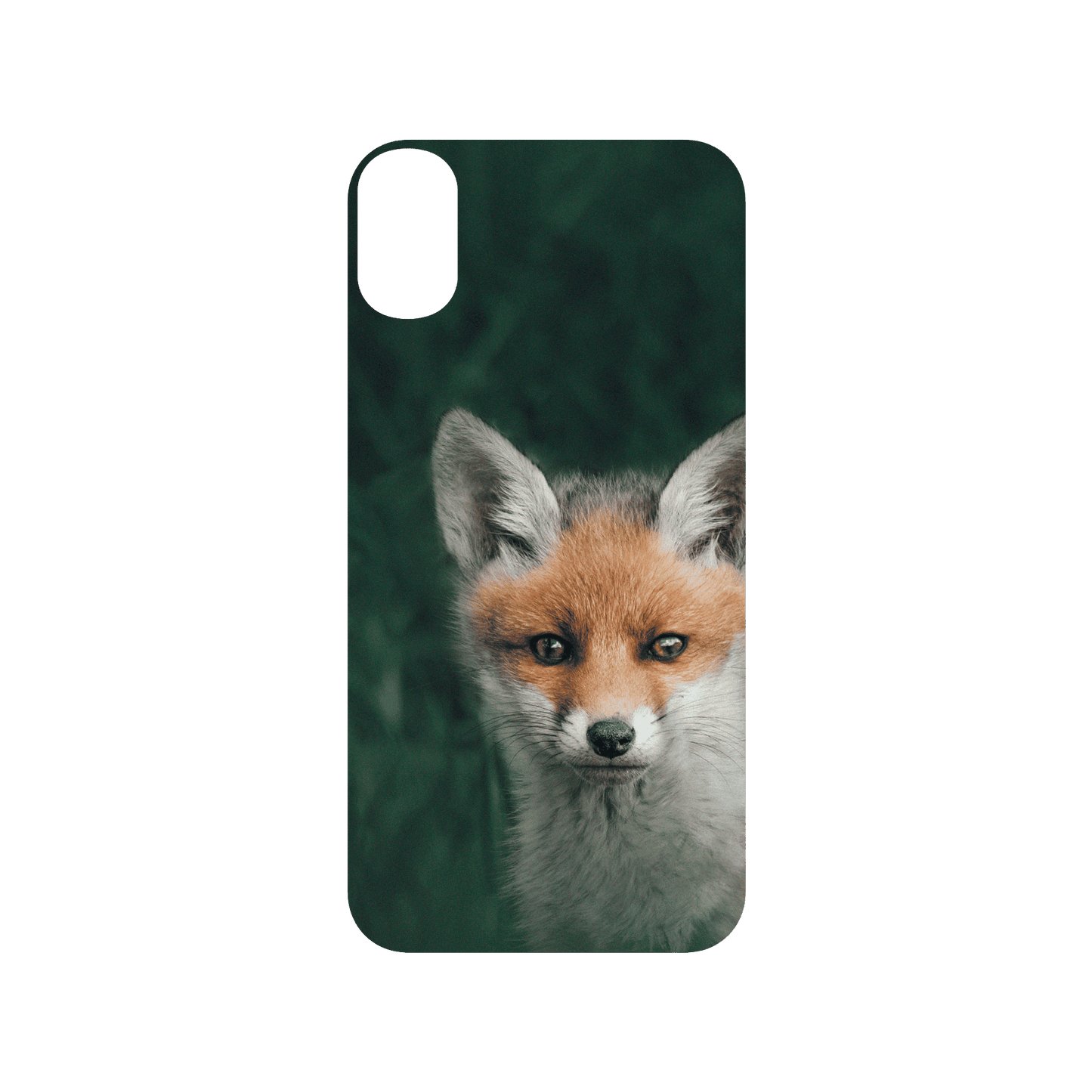 RHINOSHIELD X Alexis Rateau SolidSuit iPhone XR Case - Fox
