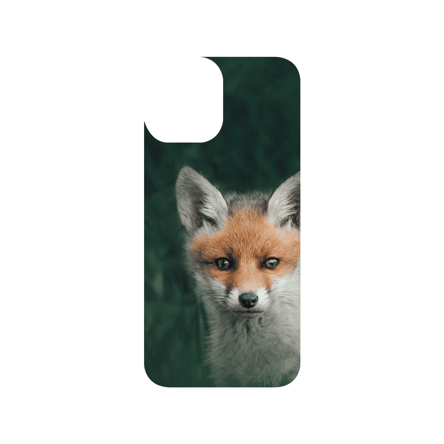 RHINOSHIELD X Alexis Rateau SolidSuit iPhone 12 Pro Max Case - Fox