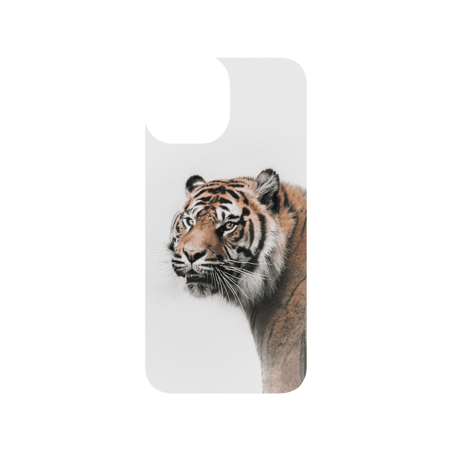RHINOSHIELD X Alexis Rateau SolidSuit iPhone 13 mini Case - Tiger