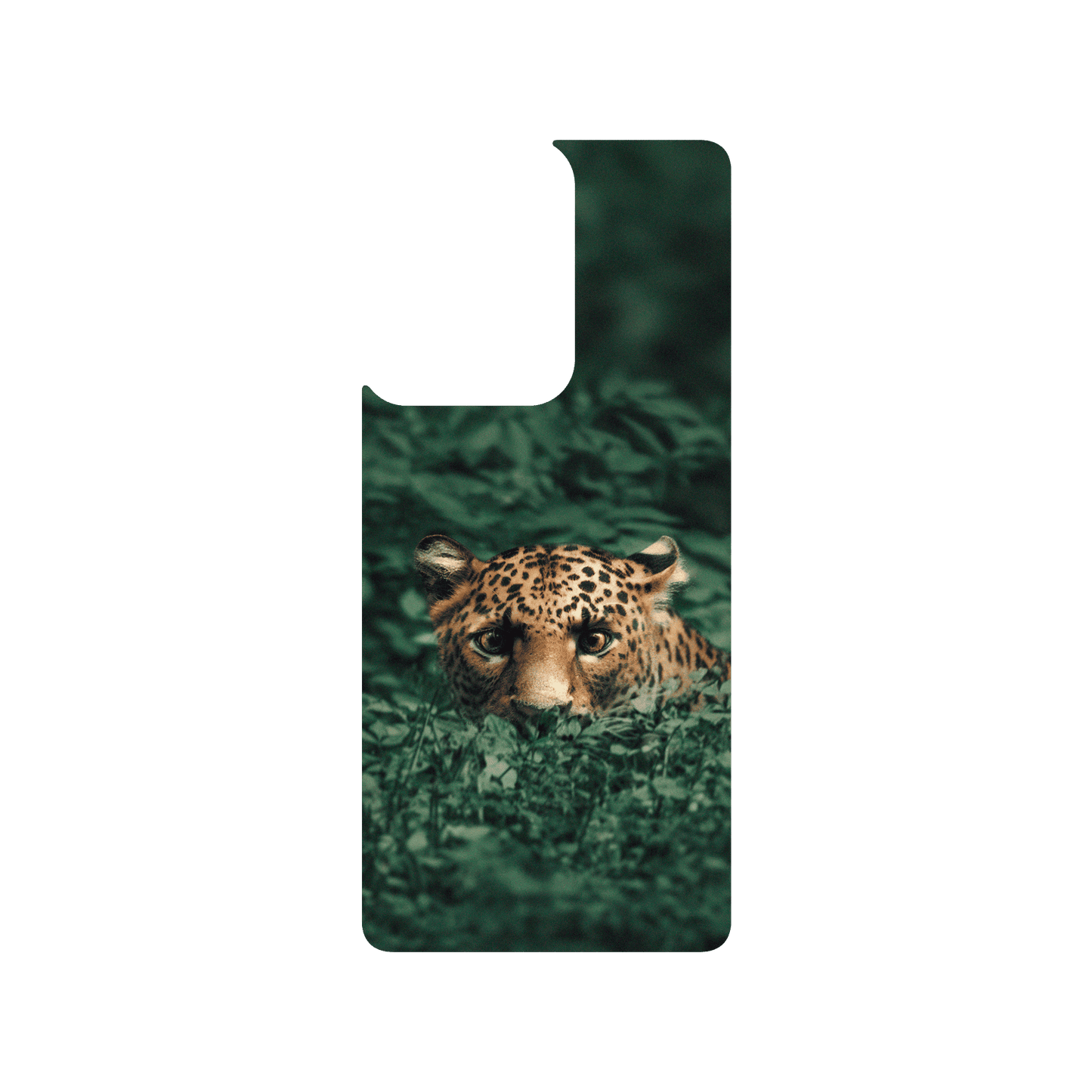 RHINOSHIELD X Alexis Rateau SolidSuit Redmi Note 12 Pro 5G (Global) Case - Leopard in the Jungle