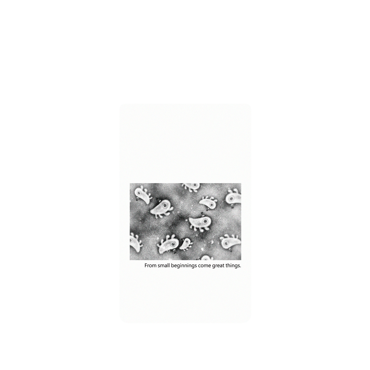 RHINOSHIELD X Incrediville SolidSuit Google Pixel 6 Case - Microscopic Observation - White
