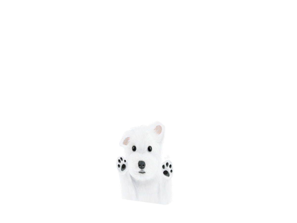 (R)ASUS ZenFone 6 犀牛盾SolidSuit獨家設計款防摔背蓋手機殼 - 我要抱抱