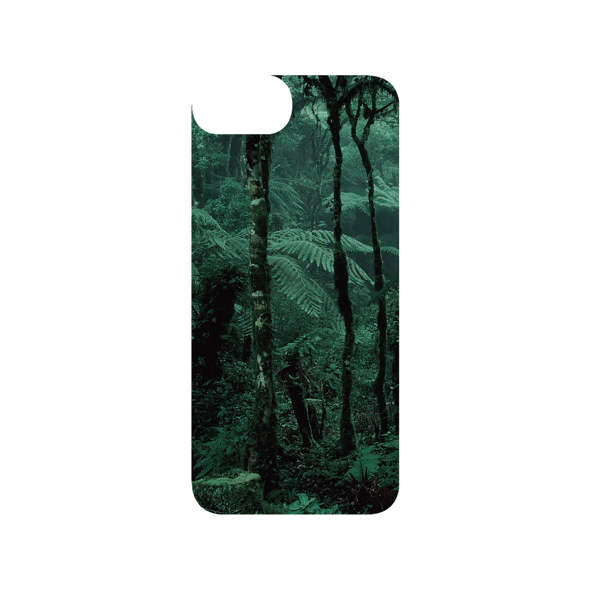 RHINOSHIELD SolidSuit iPhone SE (3rd generation) Case: Original Designs - The Masterpiece of Nature (Amazon Rainforest)