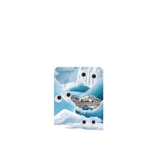 RHINOSHIELD SolidSuit ASUS Zenfone 8 Flip Case: Original Designs - Arctic Glacier's Eyes On You