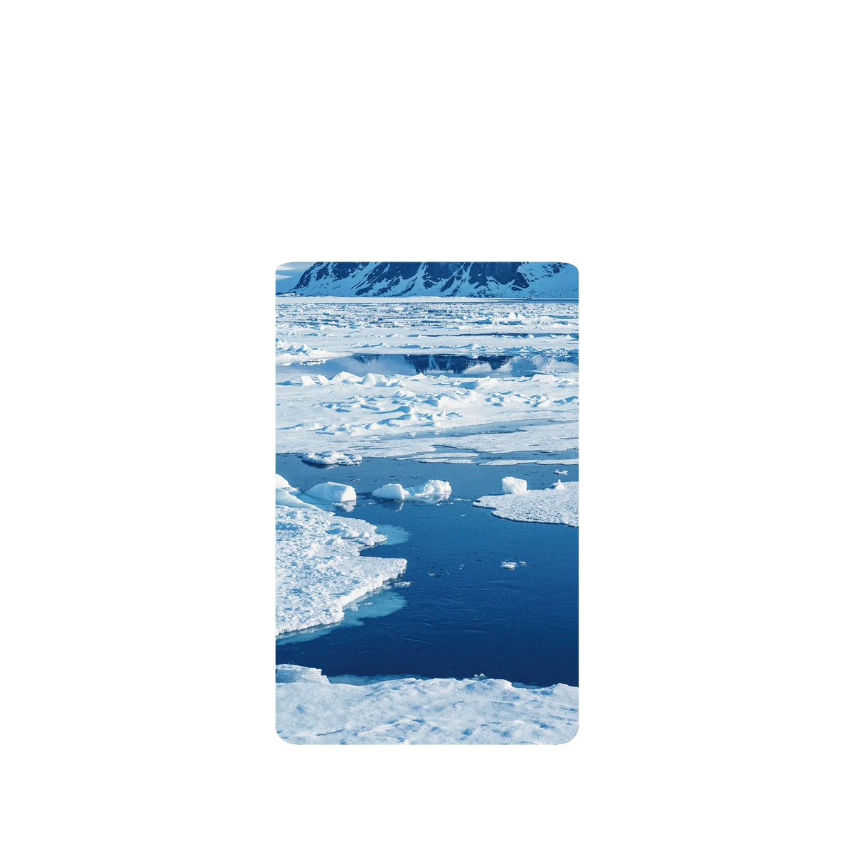 RHINOSHIELD SolidSuit Google Pixel 6 Pro Case: Original Designs - The Masterpiece of Nature (Svalbard Glacier)