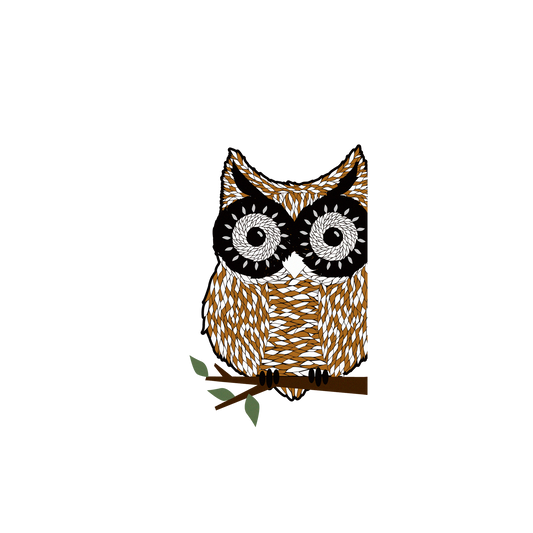 RhinoShield X WasangShow Mod NX iPhone XR Case - Owl Backplate