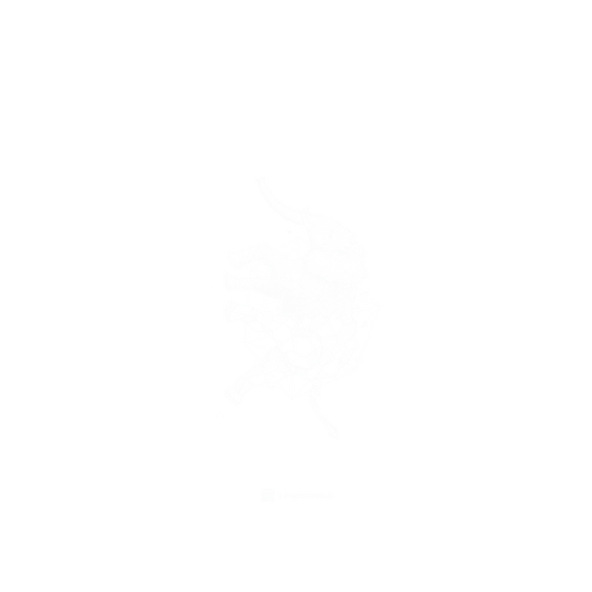 RhinoShield X Kerby Rosanes Mod NX iPhone XS Max Case - Geo Elephant - White Backplate