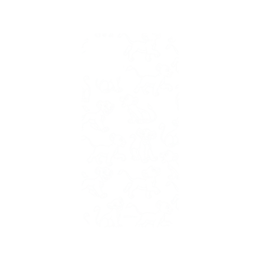 iPhone 11 犀牛盾Mod NX邊框背蓋兩用手機殼 Disney-Classics - 獅子王 Le Roi lion - Simba