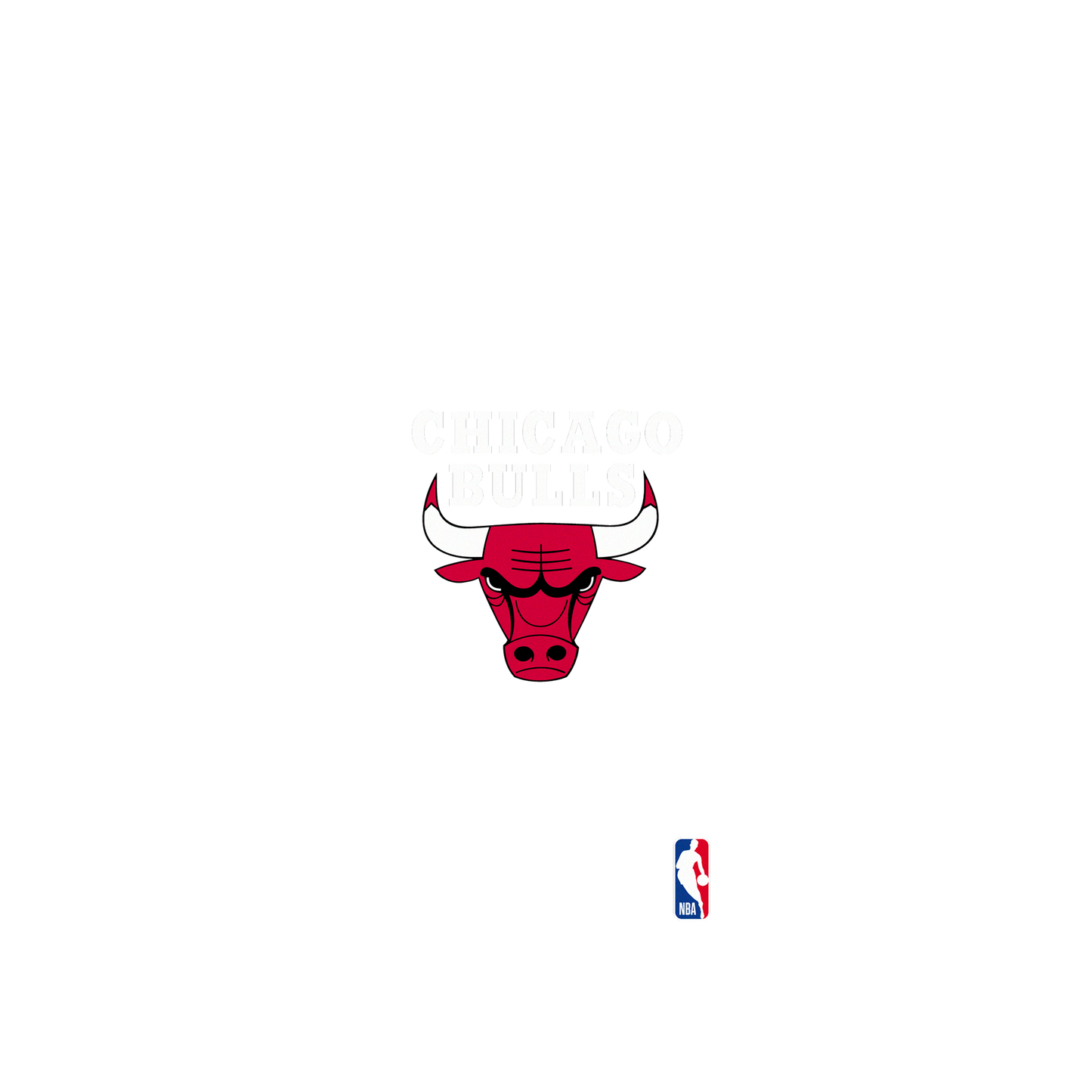 RhinoShield X NBA Mod NX iPhone 11 Pro Max Case - Chicago Bulls - Light Backplate