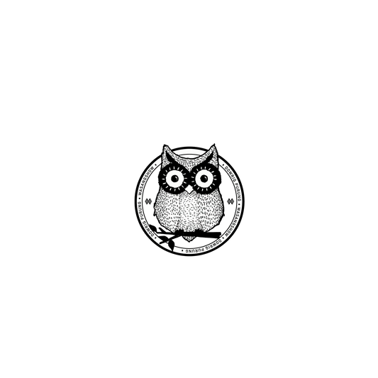 RhinoShield X WasangShow Mod NX iPhone 12 Pro Case - Aboriginal Owl Backplate