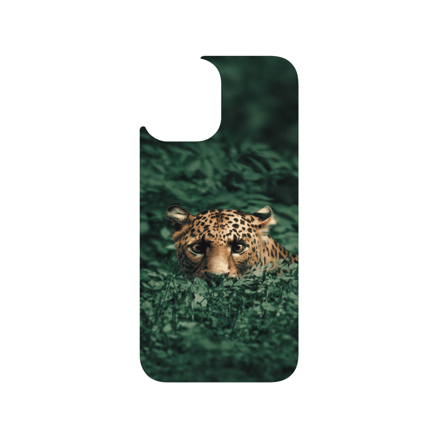 RHINOSHIELD X Alexis Rateau Clear Case (MagSafe compatible) iPhone 12 Pro Max - Leopard in the Jungle
