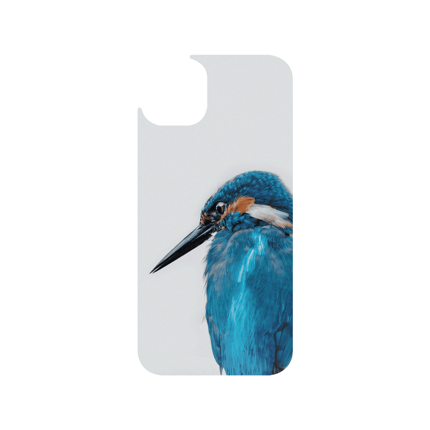 RHINOSHIELD X Alexis Rateau JellyTint (MagSafe compatible) iPhone 14 Plus - Kingfisher