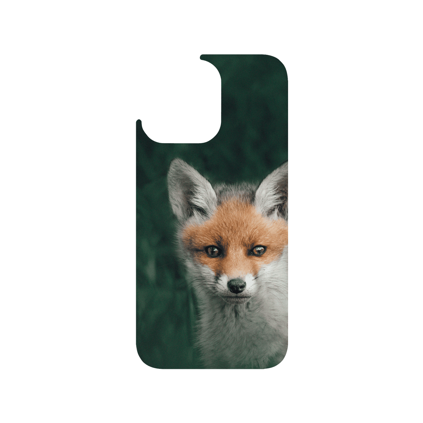 RHINOSHIELD X Alexis Rateau Clear iPhone 14 Pro Max Case - Fox