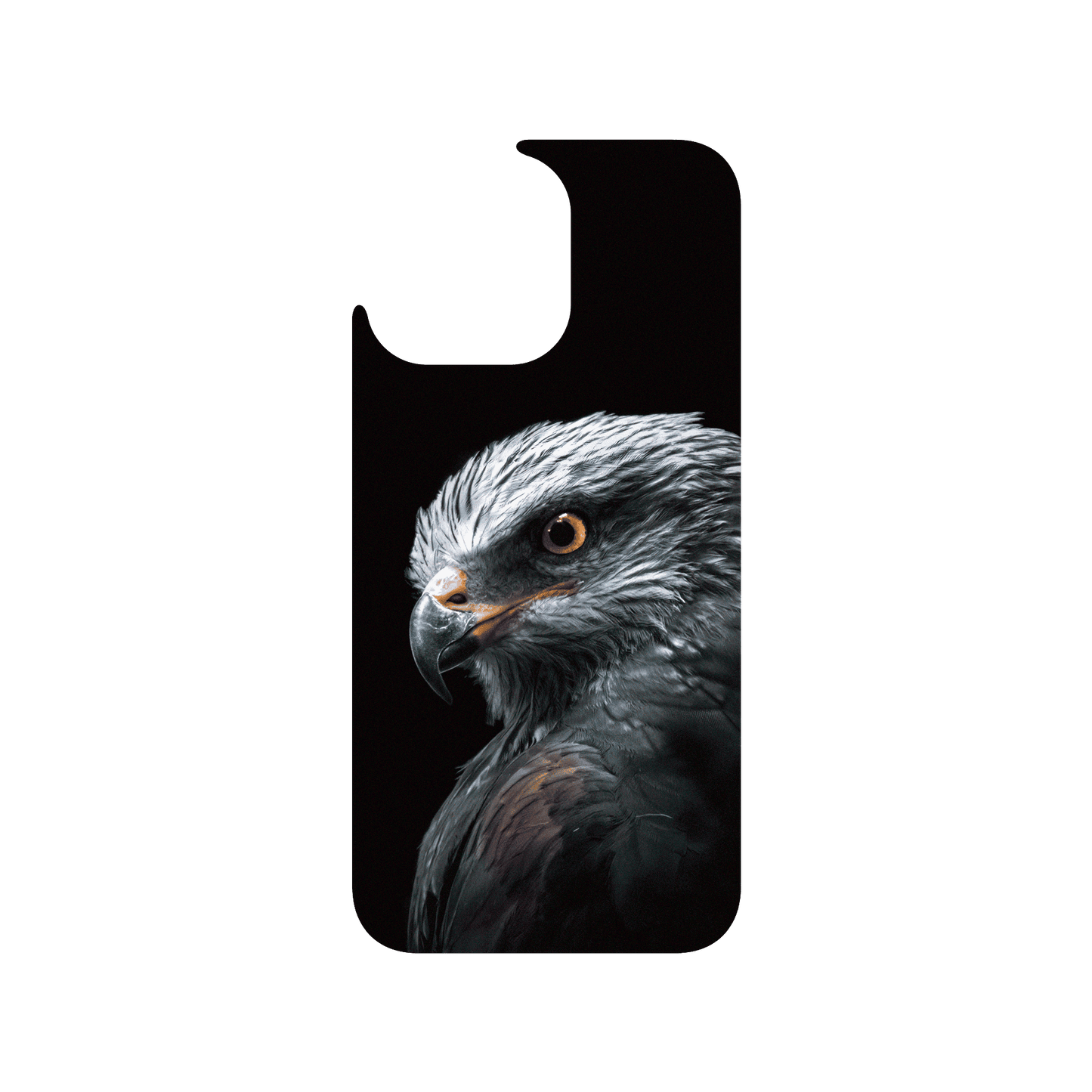 RHINOSHIELD X Alexis Rateau JellyTint (MagSafe compatible) iPhone 15 Pro Max - Black Kite