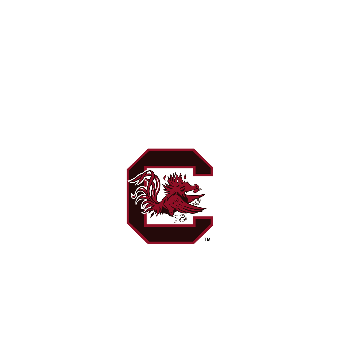 RHINOSHIELD X U.S. College Collections SolidSuit iPhone SE (2nd generation) Case - The University of South Carolina - South Carolina-Light