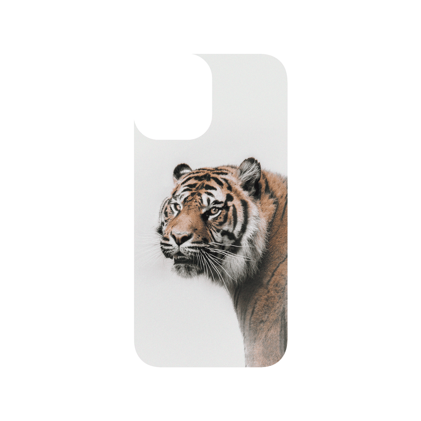 RHINOSHIELD X Alexis Rateau SolidSuit (MagSafe compatible) iPhone 12 mini Case - Tiger
