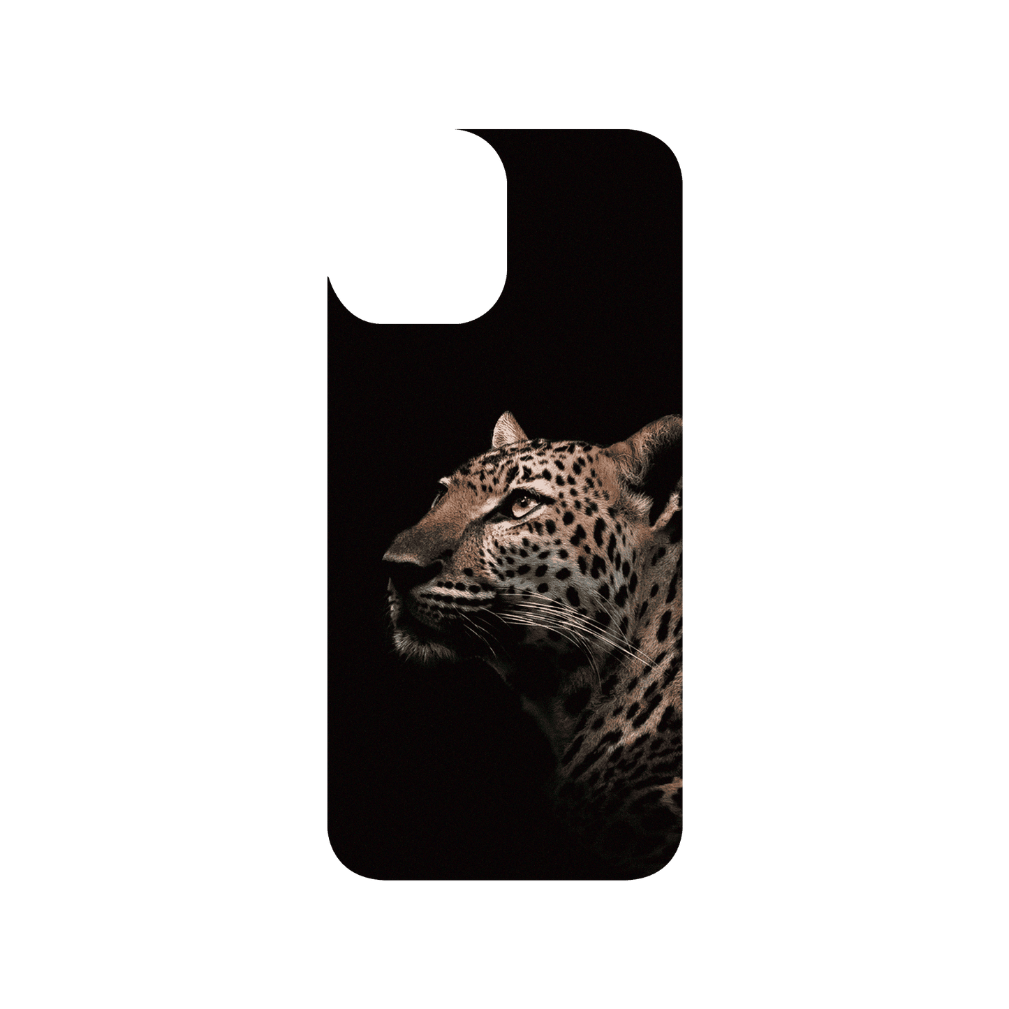 RHINOSHIELD X Alexis Rateau SolidSuit iPhone 12 Pro Max Case - Indochinese Leopard