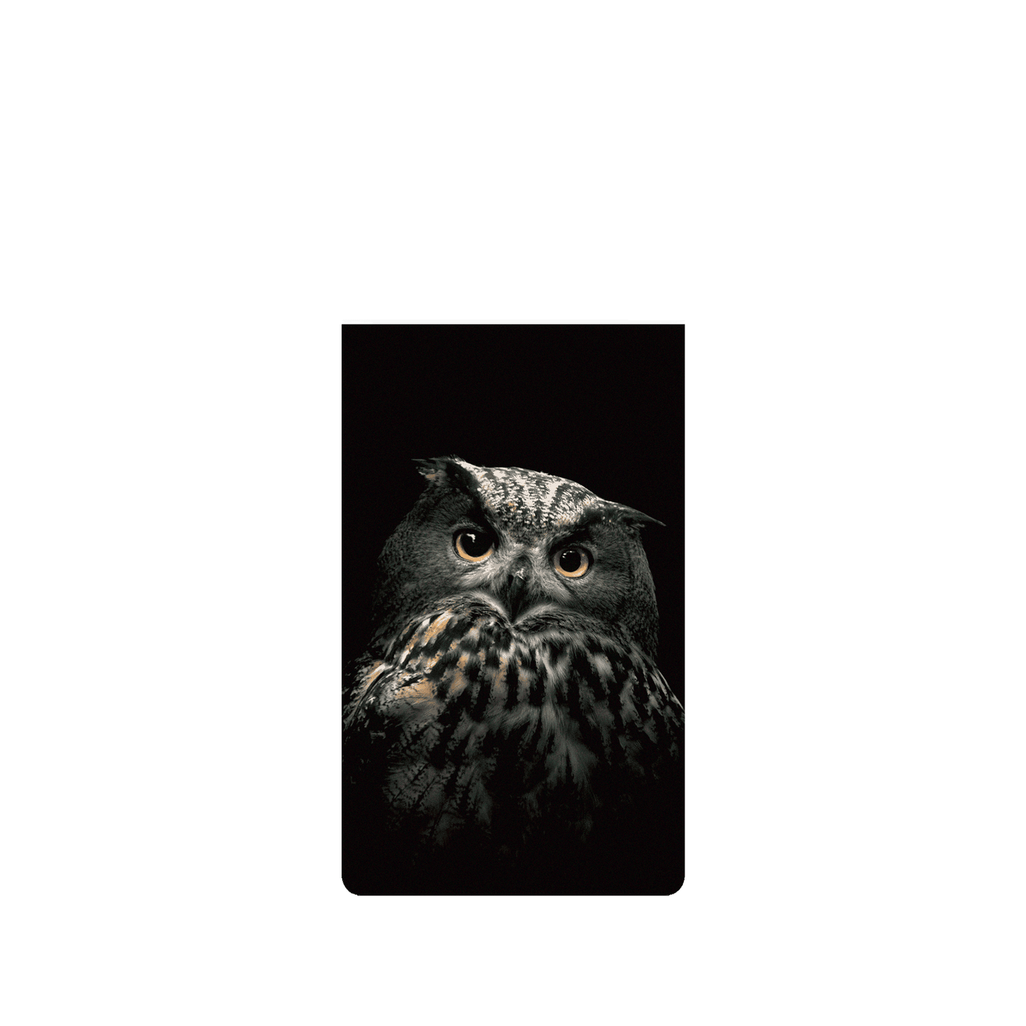 RHINOSHIELD X Alexis Rateau SolidSuit (MagSafe compatible) Google Pixel 7 Case - Eurasian Eagle-Owl