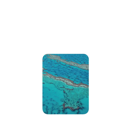 RHINOSHIELD SolidSuit Google Pixel 5 Case: Original Designs - The Masterpiece of Nature (Great Barrier Reef)