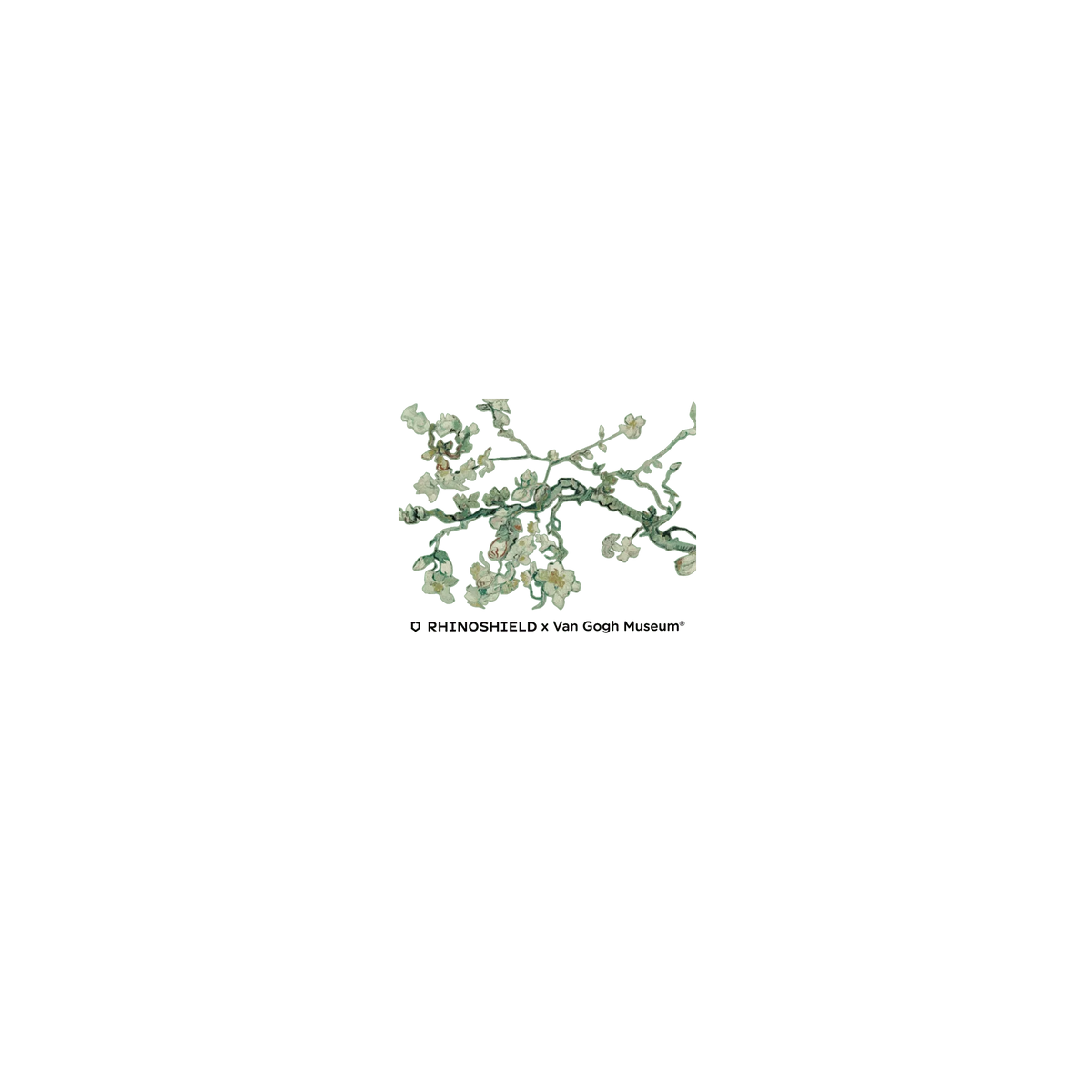 RHINOSHIELD X Van Gogh Museum AirPods 1 Case - Almond Blossom - Transparent
