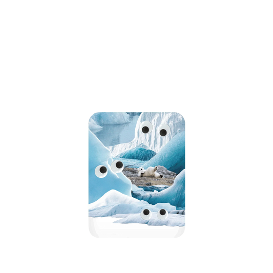 RHINOSHIELD SolidSuit Google Pixel 5 Case: Original Designs - Arctic Glacier's Eyes On You