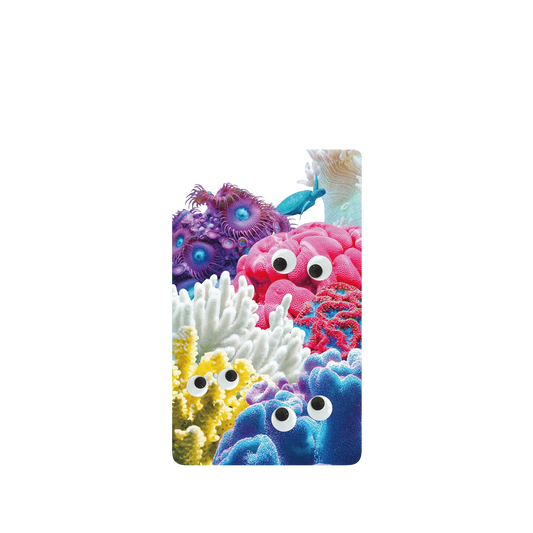 RHINOSHIELD SolidSuit Google Pixel 6 Case: Original Designs - Great Barrier Reef's Eyes On You