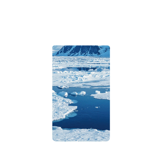 RHINOSHIELD SolidSuit Google Pixel 6 Case: Original Designs - The Masterpiece of Nature (Svalbard Glacier)