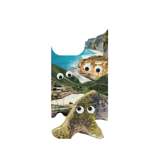 RHINOSHIELD SolidSuit iPhone 13 Pro Case: Original Designs - Bali Island's Eyes On You