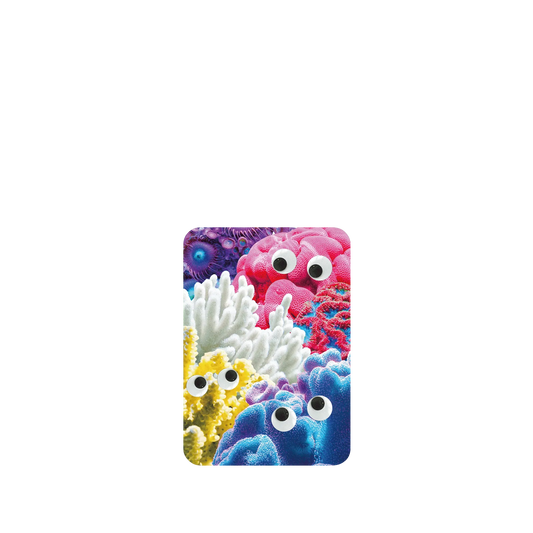 RHINOSHIELD SolidSuit ASUS Zenfone 8 Flip Case: Original Designs - Great Barrier Reef's Eyes On You