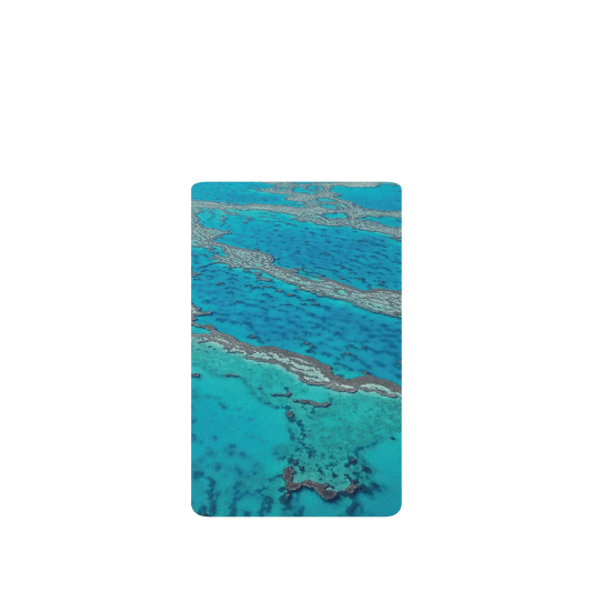 RHINOSHIELD SolidSuit Google Pixel 6 Pro Case: Original Designs - The Masterpiece of Nature (Great Barrier Reef)