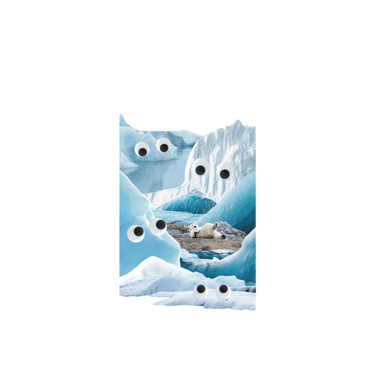 RHINOSHIELD Clear iPhone 13 Pro Case: Original Designs - Arctic Glacier's Eyes On You