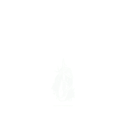 RhinoShield X Neomlei SolidSuit (MagSafe compatible) Samsung Galaxy S24 Ultra Case - Moth & Dagger