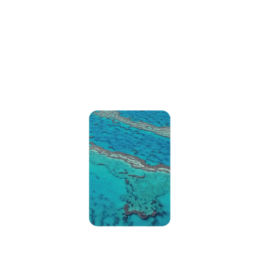 RHINOSHIELD SolidSuit ASUS Zenfone 8 Flip Case: Original Designs - The Masterpiece of Nature (Great Barrier Reef)