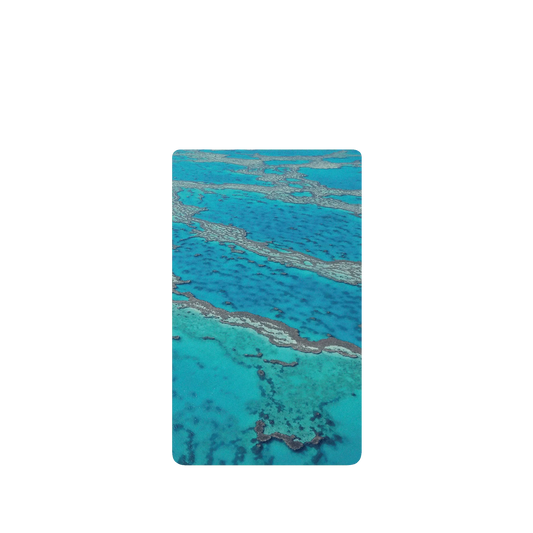 RHINOSHIELD SolidSuit Google Pixel 6 Case: Original Designs - The Masterpiece of Nature (Great Barrier Reef)