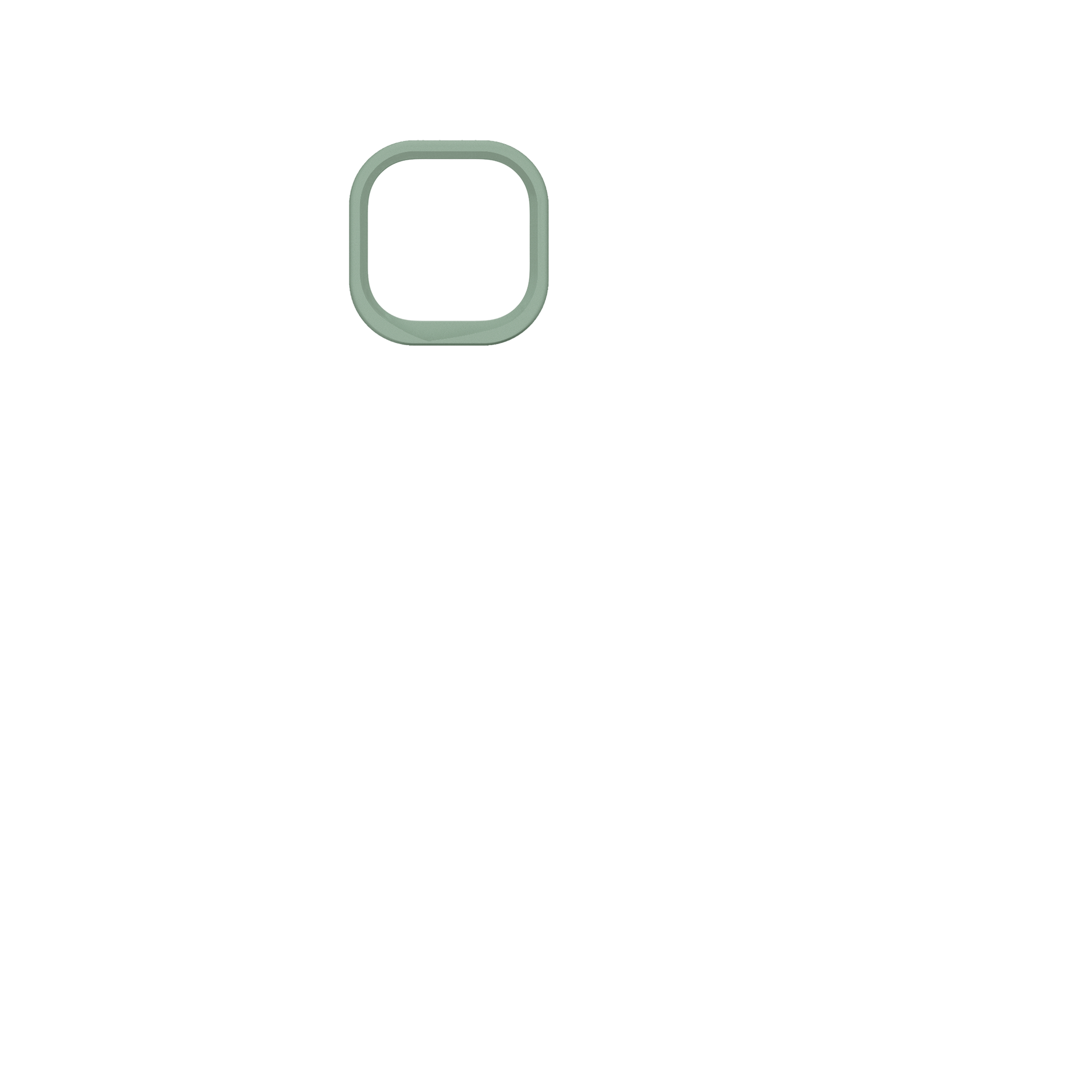 cameraring:Sage Green