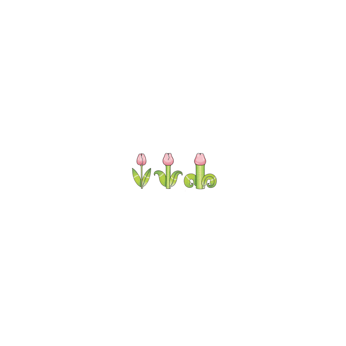 AirPods Pro 犀牛盾AirPods聯名設計款保護殼 保羅先生 - 慾金香