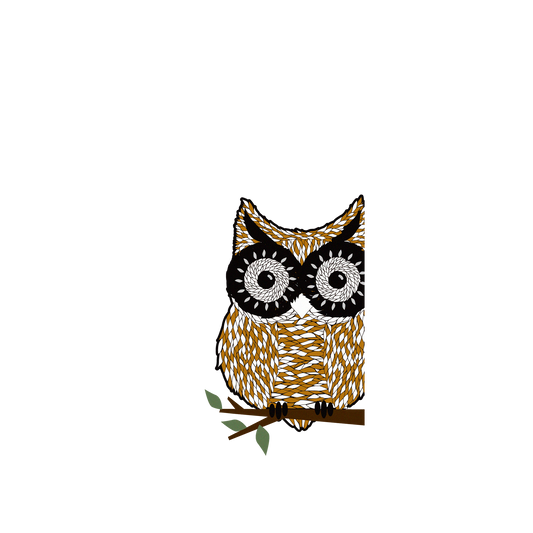RhinoShield X WasangShow Clear iPhone 12 Case - Owl