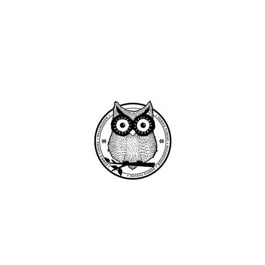 RhinoShield X WasangShow Clear iPhone 12 Case - Aboriginal Owl