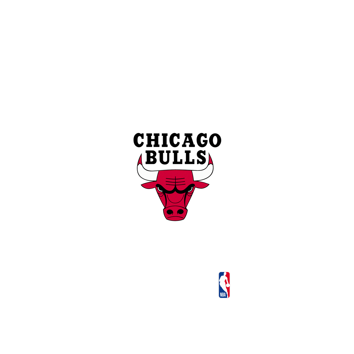 RhinoShield X NBA Clear iPhone 13 Pro Case - Chicago Bulls - Dark