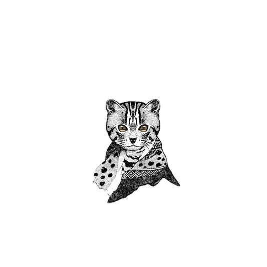 RhinoShield X WasangShow Clear iPhone 13 Pro Max Case - Leopard Cats