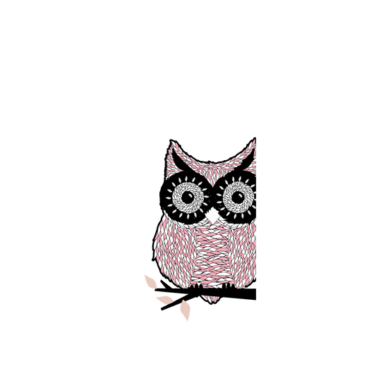 RhinoShield X WasangShow Clear iPhone 13 Pro Max Case - Owl Red