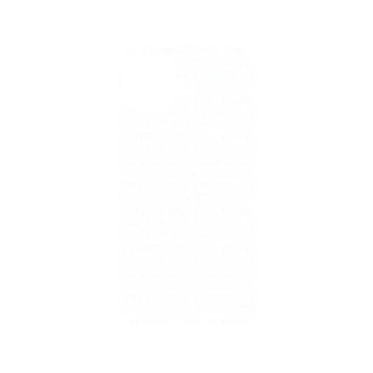 iPhone 11 犀牛盾SolidSuit聯名設計款防摔背蓋手機殼 StarWars 星際大戰系列 - JEDI ORDER 原力-潮流系列