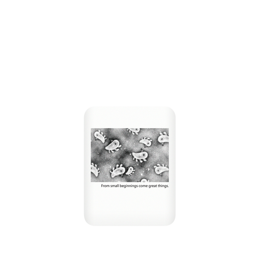 RHINOSHIELD X Incrediville  SolidSuit Google Pixel 5 Case - Microscopic Observation - White