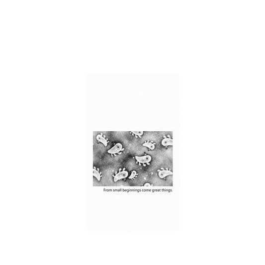RHINOSHIELD X Incrediville  SolidSuit Google Pixel 6 Case - Microscopic Observation - White