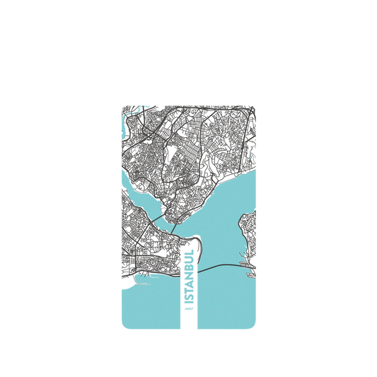 Google Pixel 6 犀牛盾SolidSuit聯名設計款防摔背蓋手機殼 JOCR - Istanbul (Black Logo)